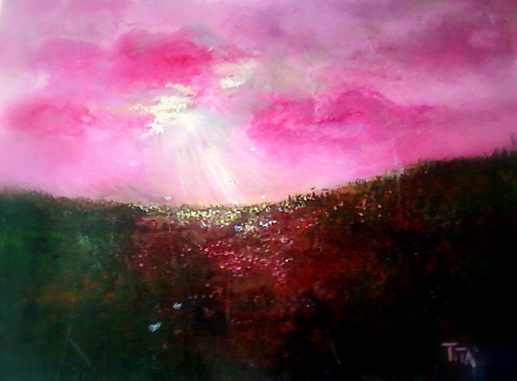 Les papillon d'Edith