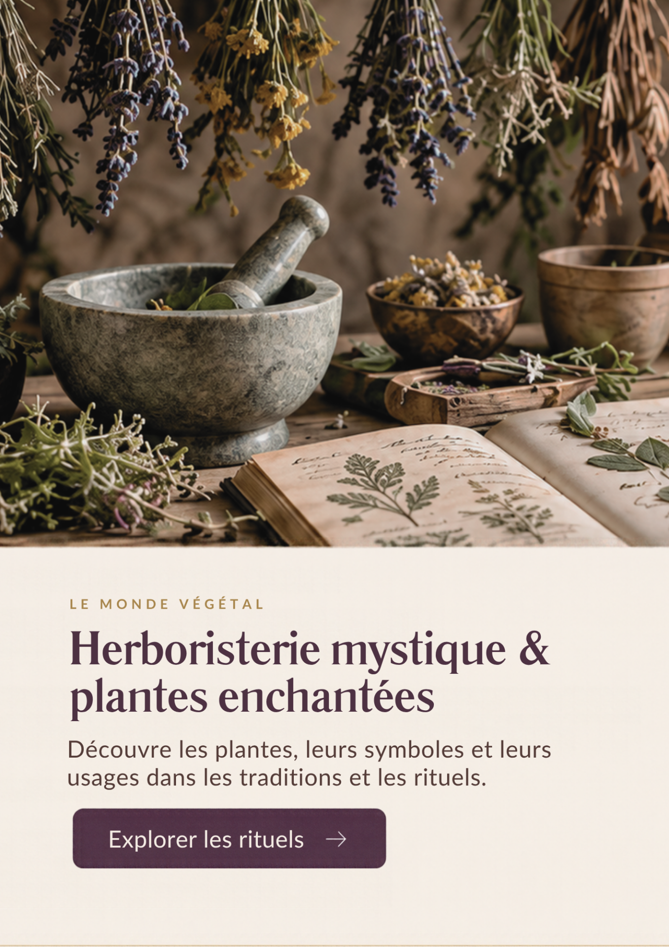 herboristerie magique