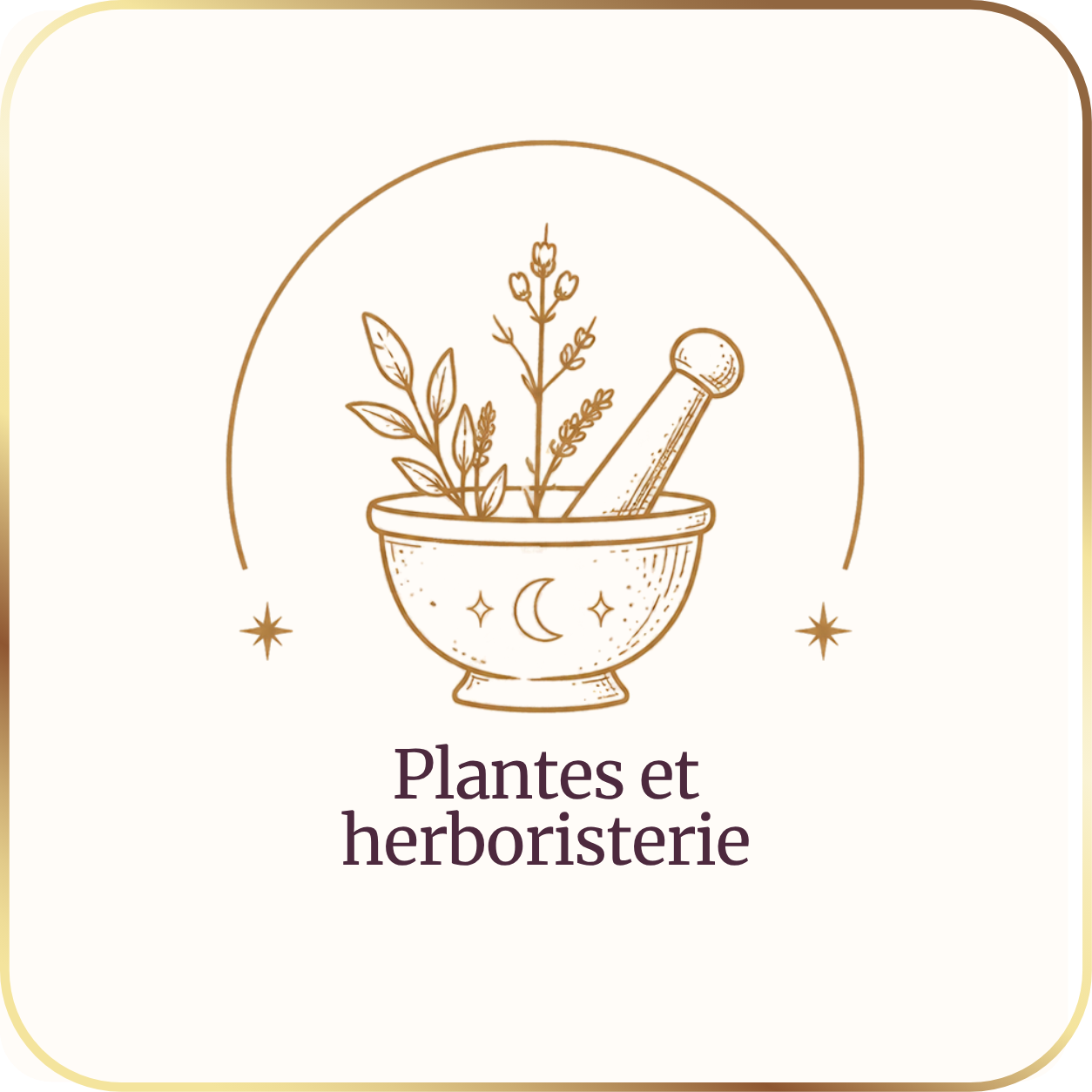 plantes et herboristerie
