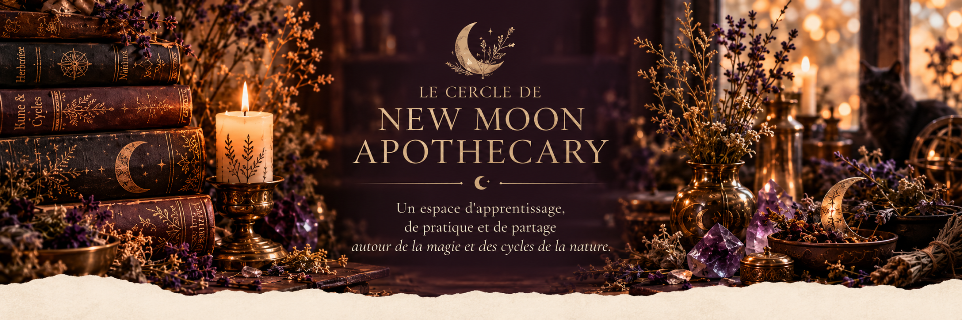 Apothicaire mystique au clair de lune