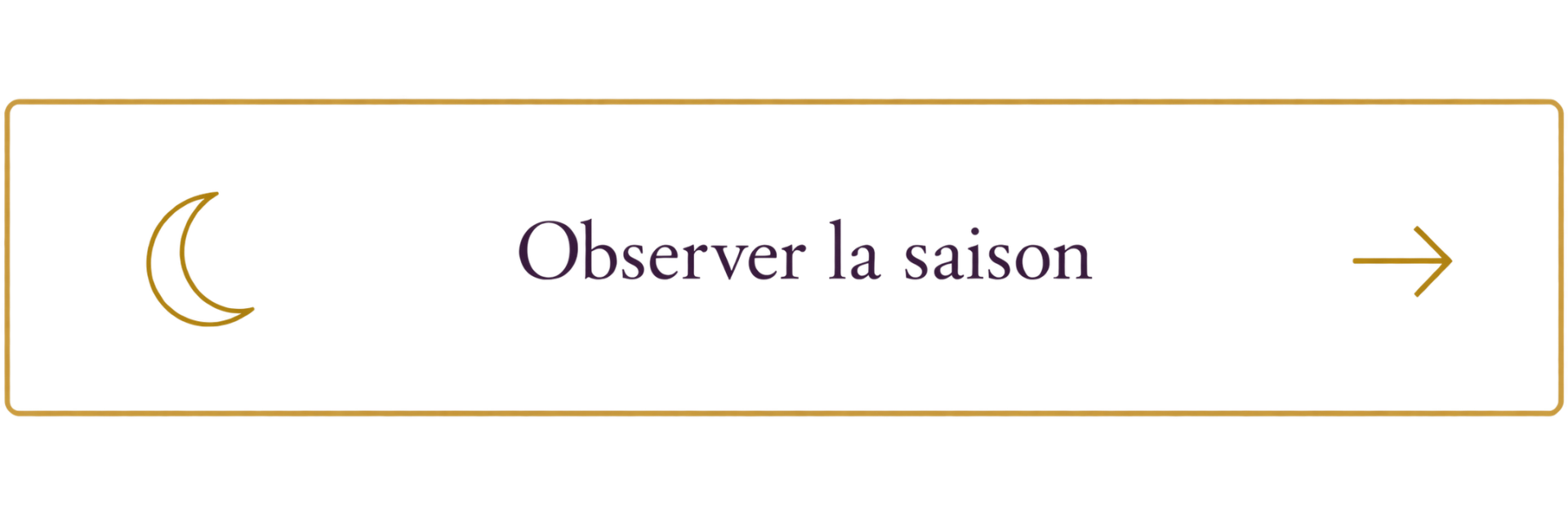 Banniere de lien doree transparente