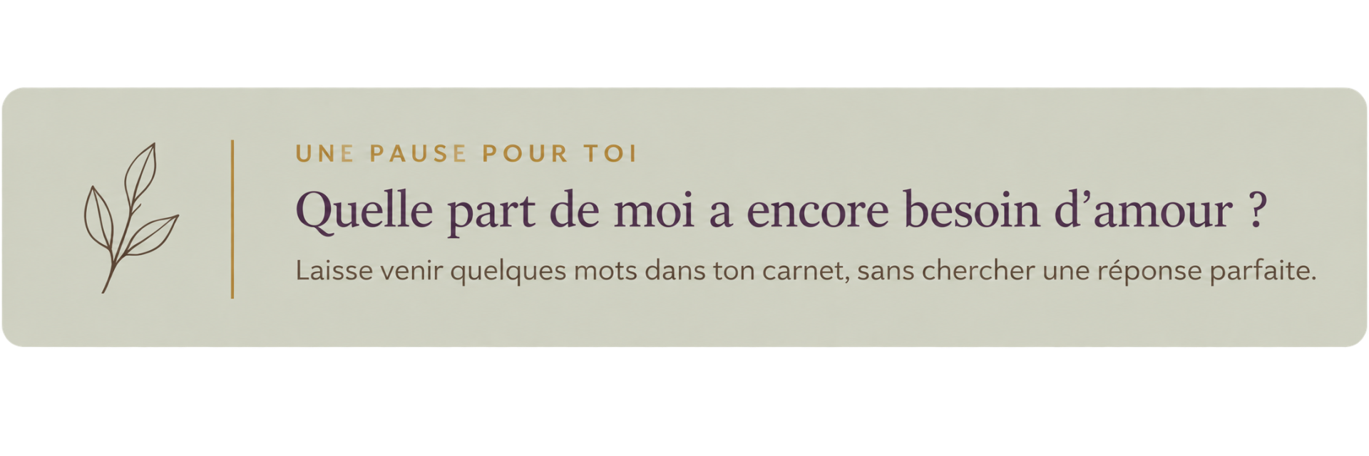 Banniere sauge pour une pause introspective