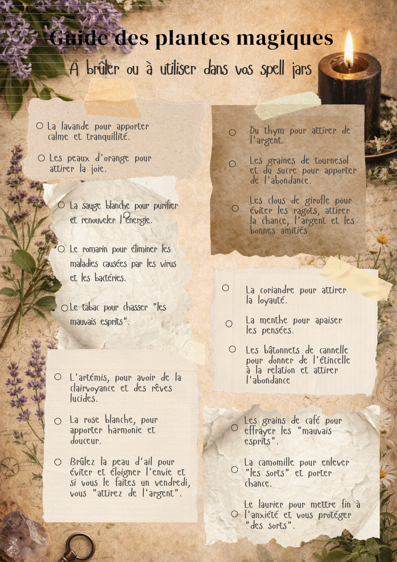 Brulez les peaux d orange pour attirer la joie brulez du thym pour attirer de l argent brulez de la coriandre pour attirer la loyaute brulez de la sauge blanche pour purifier et re