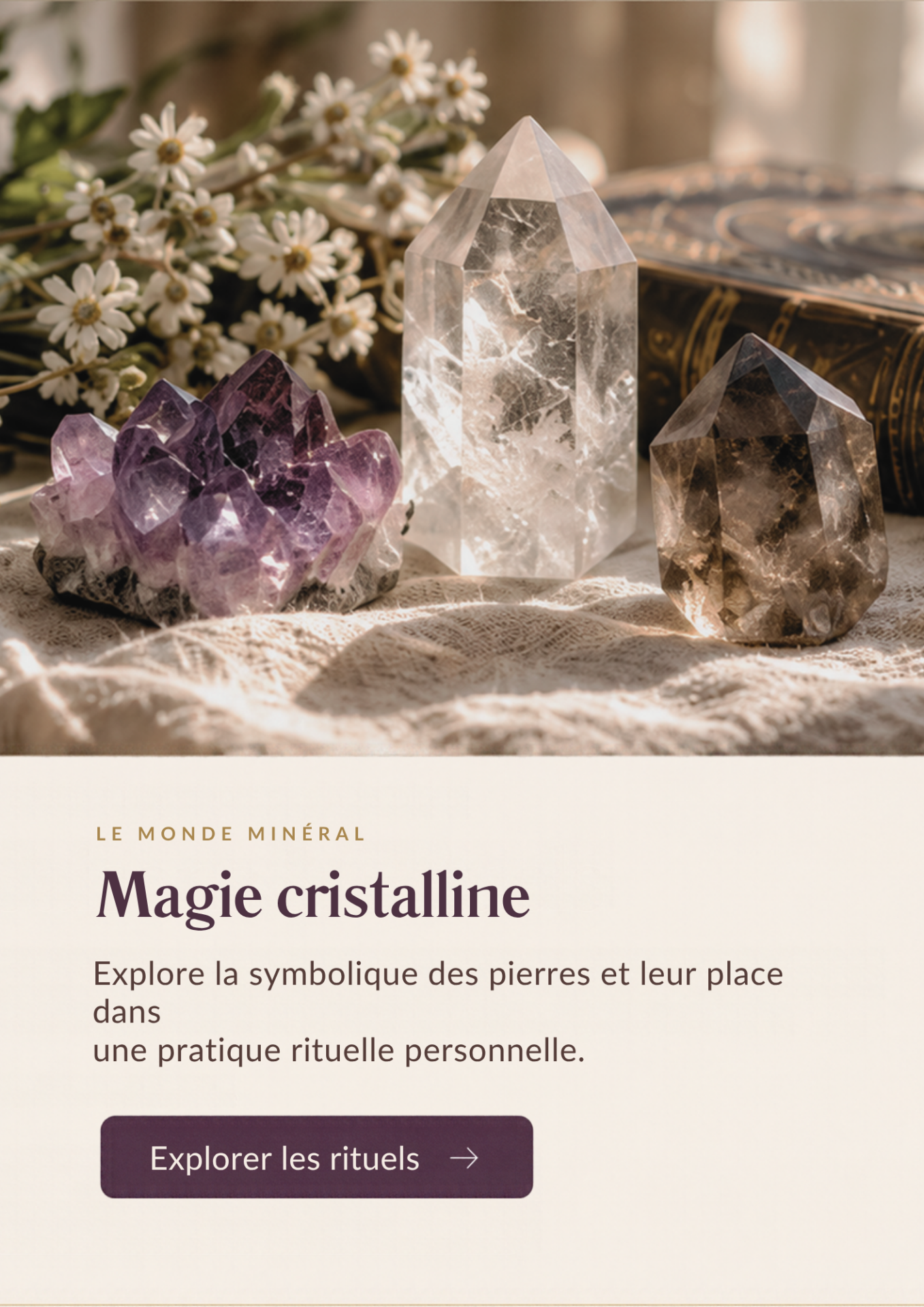 Le monde vegetal
